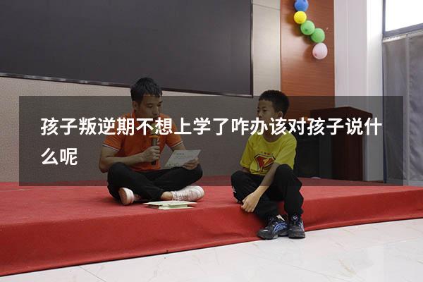 孩子叛逆期不想上学了咋办 该对孩子说什么呢